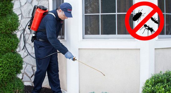 Nizip Böcek ve Haşere İlaçlama böcek ilaçlama ve haşere kontrolü — ilaclama-tr.com